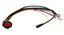 Kabelbaum ECU Für Flyer Upstreet 6